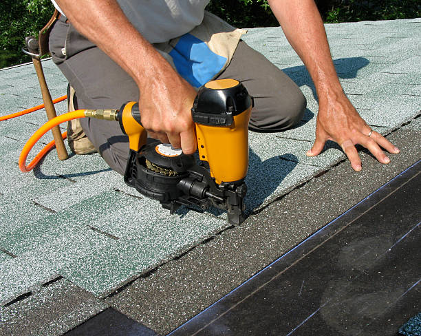 Best Roof Gutter Cleaning  in Alexander, AR