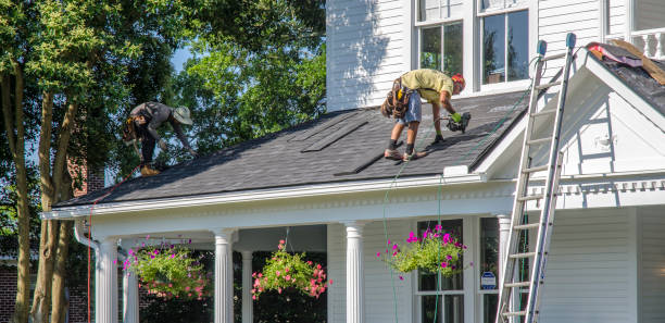 Best Roof Gutter Cleaning  in Alexander, AR