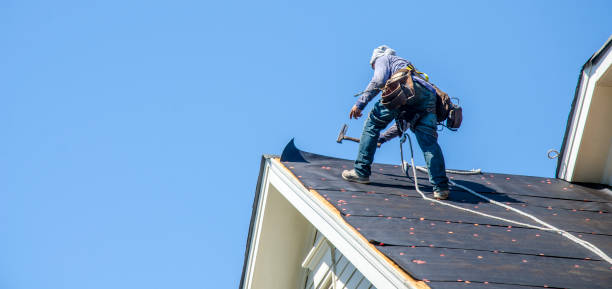 Best Local Roofing Companies  in Alexander, AR
